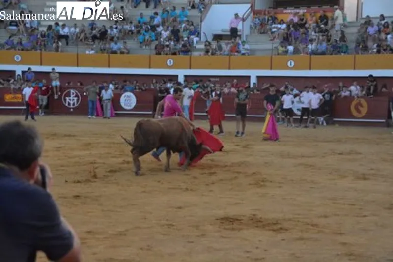 La plaza de toros de Macotera acogía la lidia de dos novillos y vaquillas