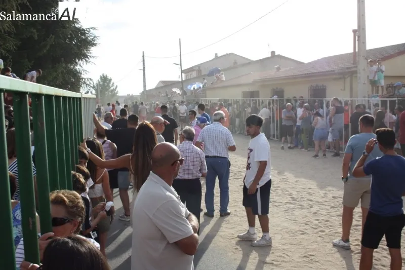 Babilafuente celebraba su primer encierro de las fiestas con gran ambiente