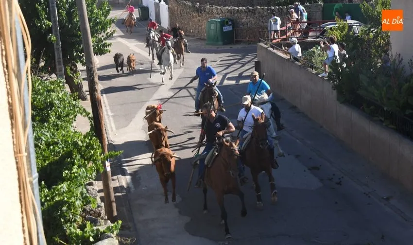 Foto 4 - Vistoso encierro a caballo en Fuentes de O&ntilde;oro