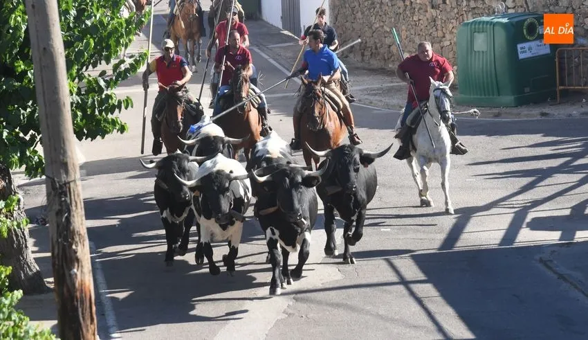 Foto 2 - Vistoso encierro a caballo en Fuentes de O&ntilde;oro