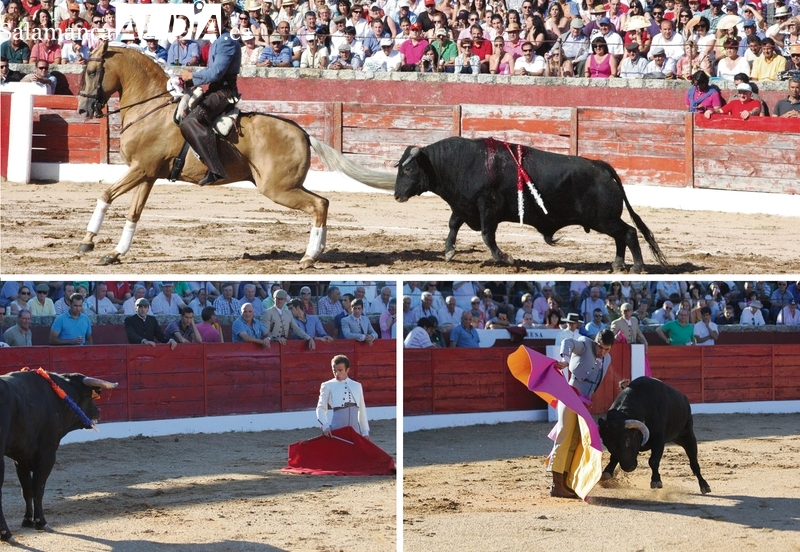El rejoneador Sergio Galán con los hermanos Javier y Damián Castaño están de nuevo en Vitigudino el 16 de agosto con toros de El Canario y de Miura, respectivamente / CORRAL  