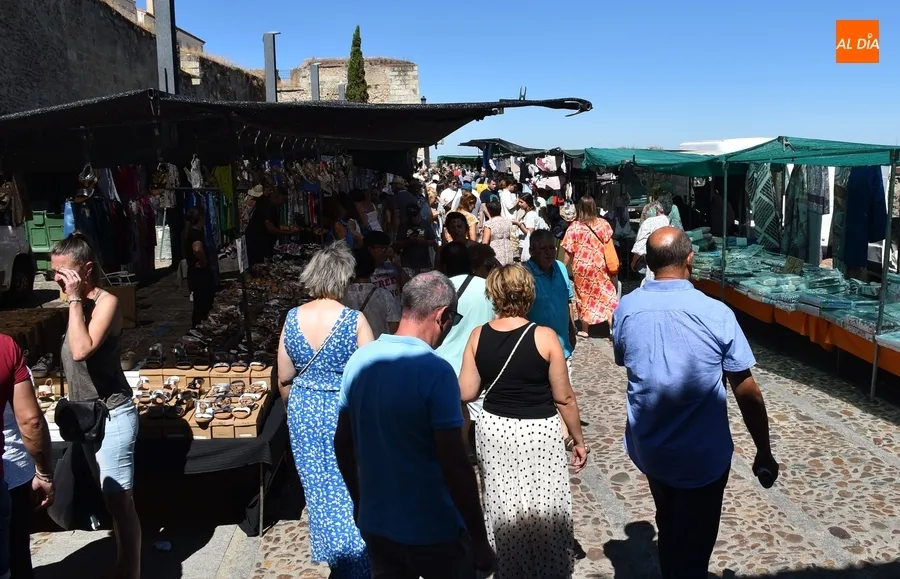 Foto 5 - Ma&ntilde;ana de gran ajetreo en Mir&oacute;briga con multas incluidas por &lsquo;no fijarse&rsquo;