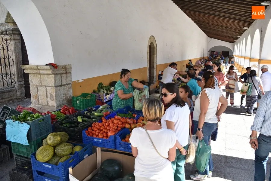 Foto 5 - El mercado de los martes cierra con su edici&oacute;n m&aacute;s colorida su rep&oacute;ker de sesiones especiales