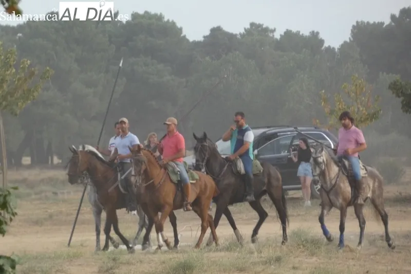 Cantalpino celebraba su primer encierro campero de las fiestas