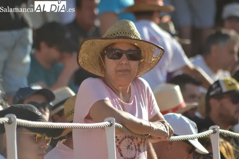 Foto 6 - Astados bien presentados y disparidad en el albero de La Florida para la corrida de Ferias en Pe&ntilde;aranda