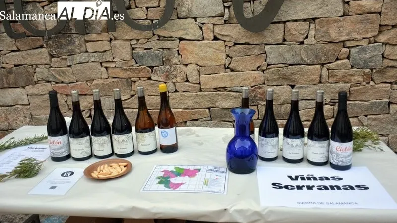 Los visitantes de la feria pudieron catar los diferentes vinos de cada bodega