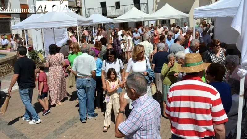 Foto 5 - Lumbrales vive una animada despedida de fiestas con la Feria Hort&iacute;cola y una comida popular