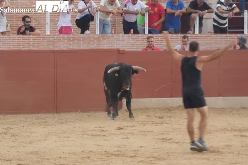 Cantalpino celebraba su primer encierro campero de las fiestas