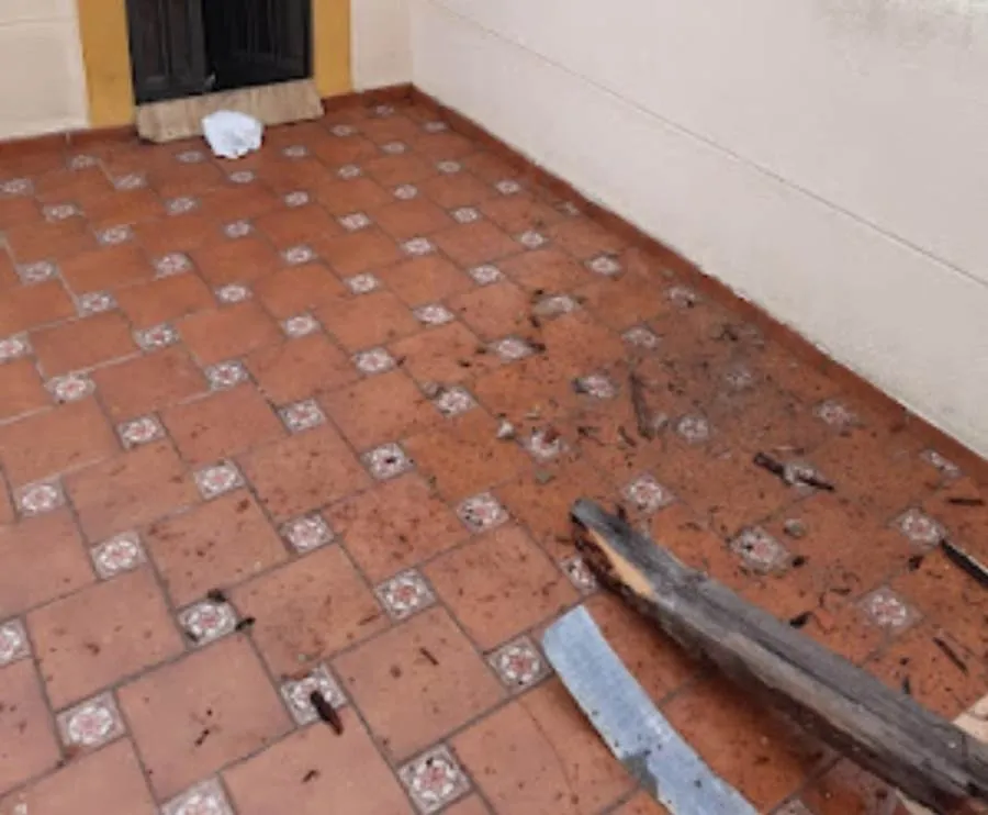 Foto 2 - Denuncian el lamentable estado, con grave riesgo para los vecinos, de una vivienda que da a la muralla