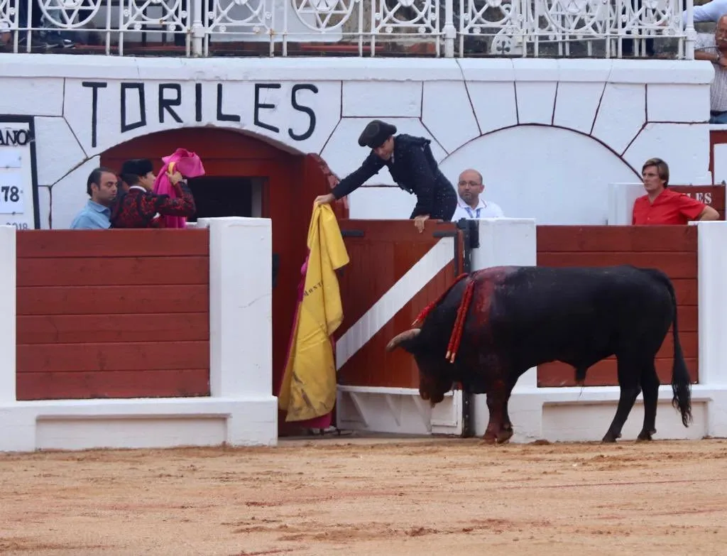 Faena de El Juli a Caritativo en Gijón | Fotos: Circuitos Taurinos