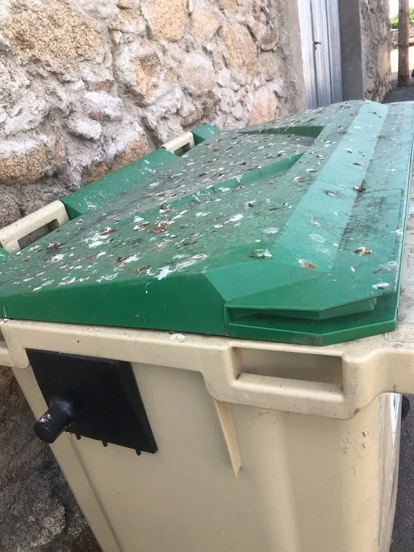 Foto 2 - Quejas en Encinasola de los Comendadores por la suciedad que acumulan algunos contenedores de basura