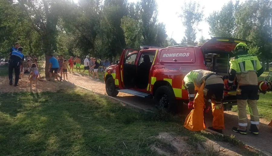 Foto 7 - Susto en la Alameda Vieja al caer al agua un &aacute;rbol en plena tarde veraniega