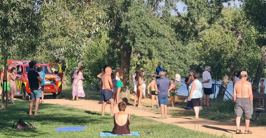 Foto 6 - Susto en la Alameda Vieja al caer al agua un &aacute;rbol en plena tarde veraniega