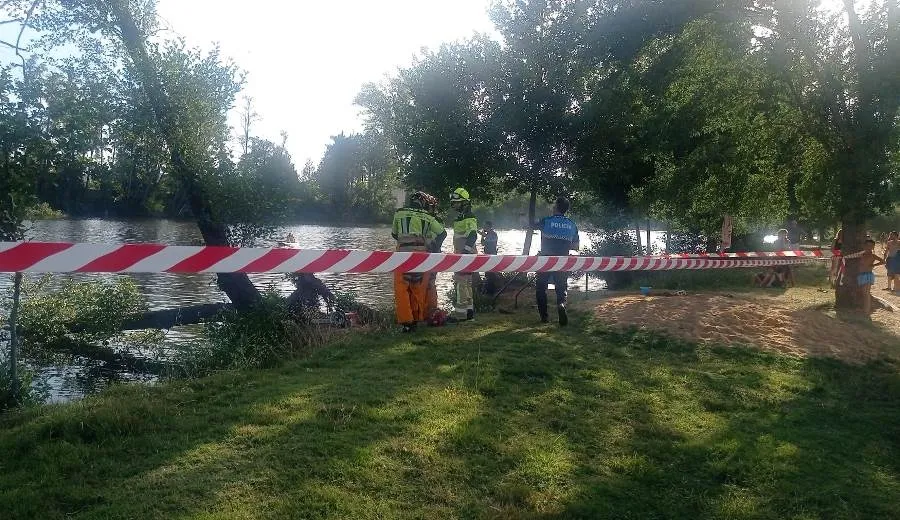 Foto 4 - Susto en la Alameda Vieja al caer al agua un &aacute;rbol en plena tarde veraniega