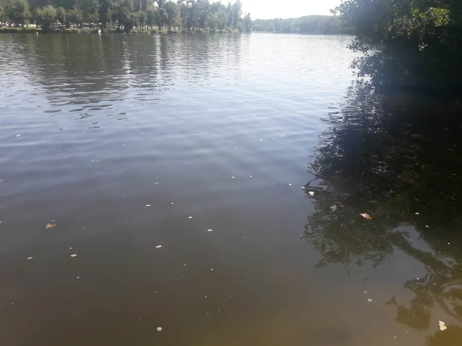 Foto 3 - El &Aacute;gueda baja una ma&ntilde;ana m&aacute;s con restos de un vertido ilegal
