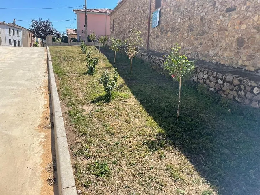 Foto 3 - Remozadas las zonas verdes de Serradilla del Llano gracias a los 8 alumnos de su AFE