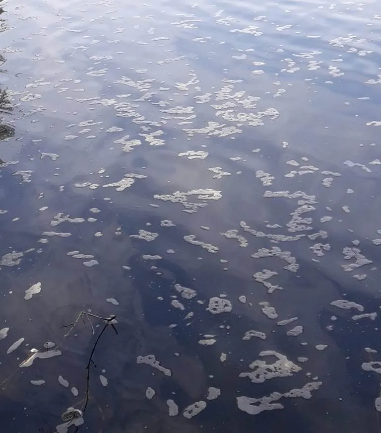 Foto 5 - Las aguas del &Aacute;gueda bajan en condiciones lamentables una ma&ntilde;ana m&aacute;s