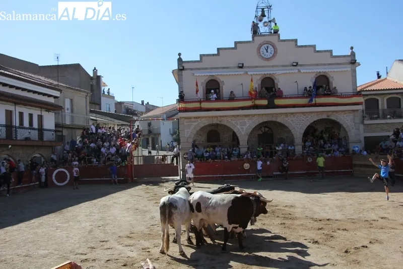 Bonito y emocionante encierro de Valrubio en Villarino de los Aires / CORRAL Y SÁNCHEZ 