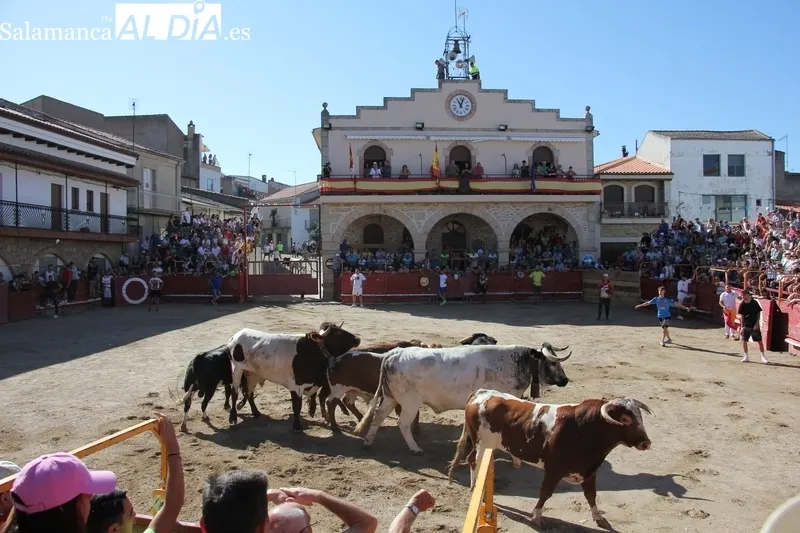 Bonito y emocionante encierro de Valrubio en Villarino de los Aires / CORRAL Y SÁNCHEZ 