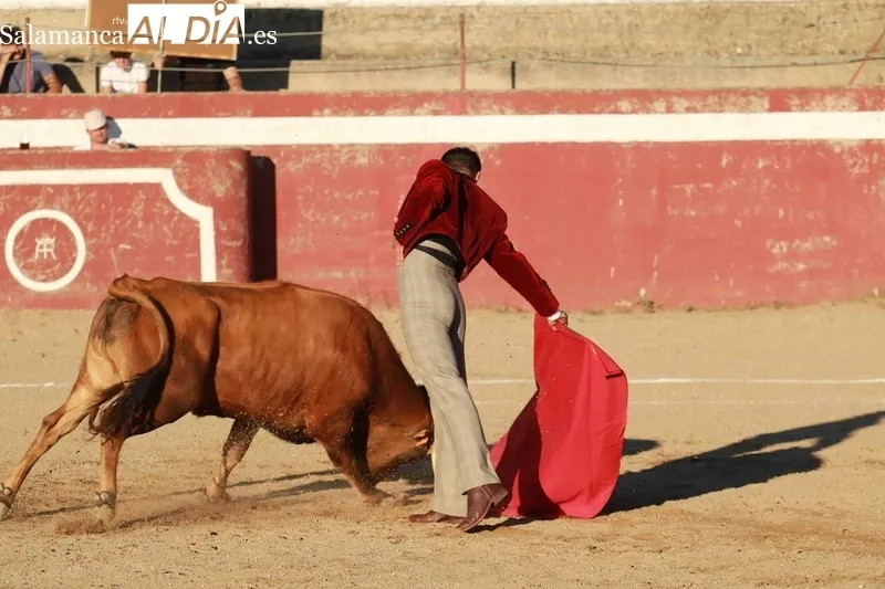 Roberto Prieto 'El Horcajeño' resultó el ganador de esta edición, mientras que el premio al Mejor Quite fue para David Moreno / FOTOS: MIGUEL HERNÁNDEZ