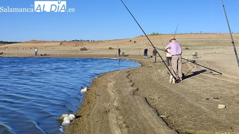 XII Encuentro de Pesca San Roque organizado por el CD Bajo Tormes de Villarino de los Aires / CORRAL 