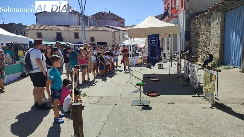 Buena afluencia de público al XII Mercado Medieval y II Feria Agroalimentaria de Hinojosa de Duero / CORRAL 