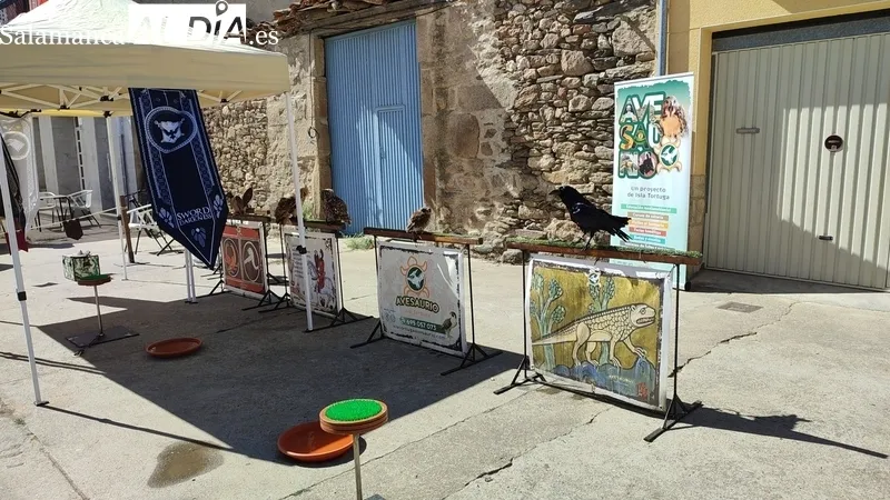 Buena afluencia de público al XII Mercado Medieval y II Feria Agroalimentaria de Hinojosa de Duero / CORRAL 