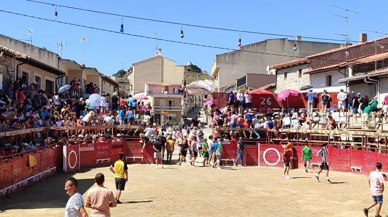 Foto 3 - R&aacute;pido encierro de los Hermanos Ca&ntilde;ero en Vilvestre para despedir las fiestas