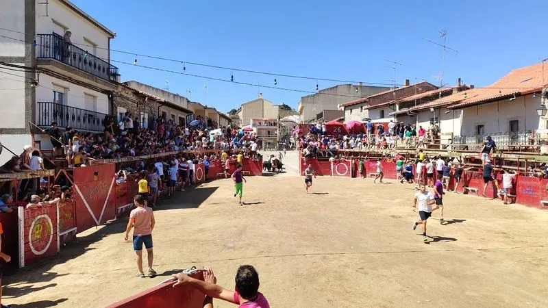 Foto 4 - R&aacute;pido encierro de los Hermanos Ca&ntilde;ero en Vilvestre para despedir las fiestas