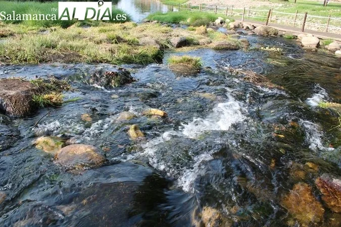 Aldeia Viçosa, una playa fluvial fresca y accesible en el Valle del Mondego | Fotos: MARTÍN-GARAY