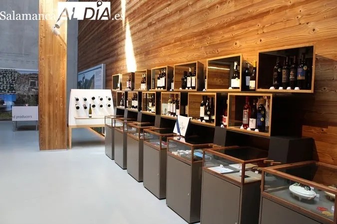 Museo del Vino de São João da Pesqueira | MARTÍN-GARAY