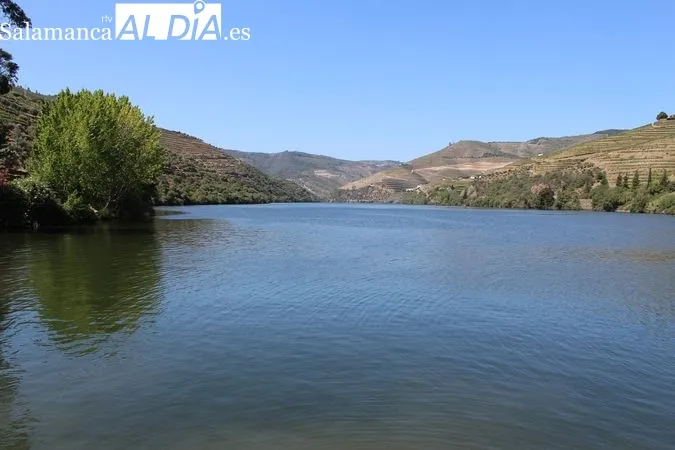 Muelle de Ervedosa do Douro | MARTÍN-GARAY