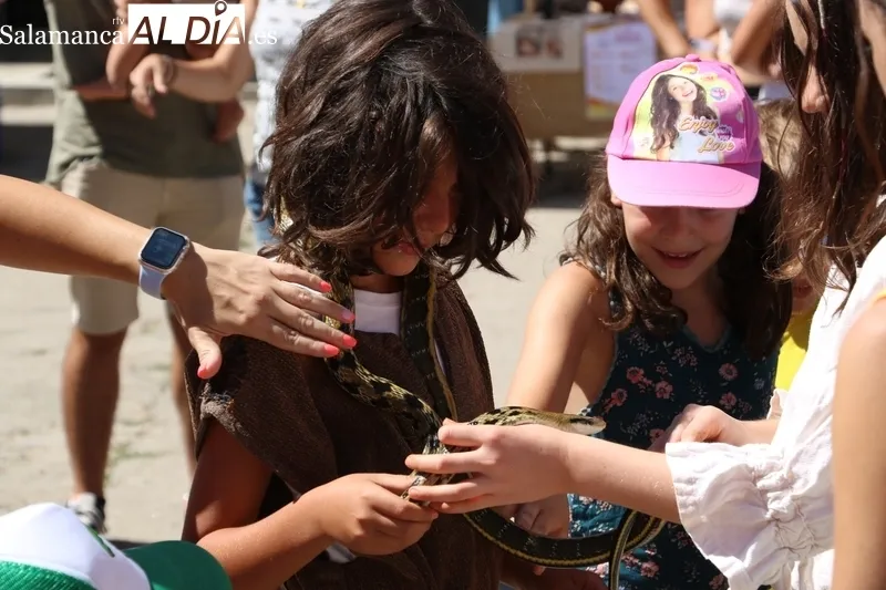 Buena afluencia de público al XII Mercado Medieval y II Feria Agroalimentaria de Hinojosa de Duero / CORRAL 