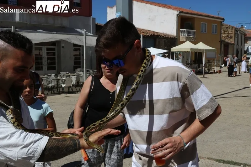 Buena afluencia de público al XII Mercado Medieval y II Feria Agroalimentaria de Hinojosa de Duero / CORRAL 
