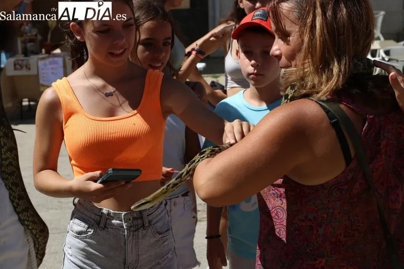 Buena afluencia de público al XII Mercado Medieval y II Feria Agroalimentaria de Hinojosa de Duero / CORRAL 