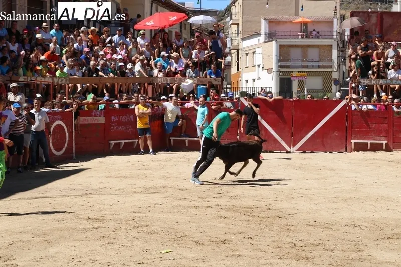 Encierro de vaquillas en Vilvestre / CORRAL