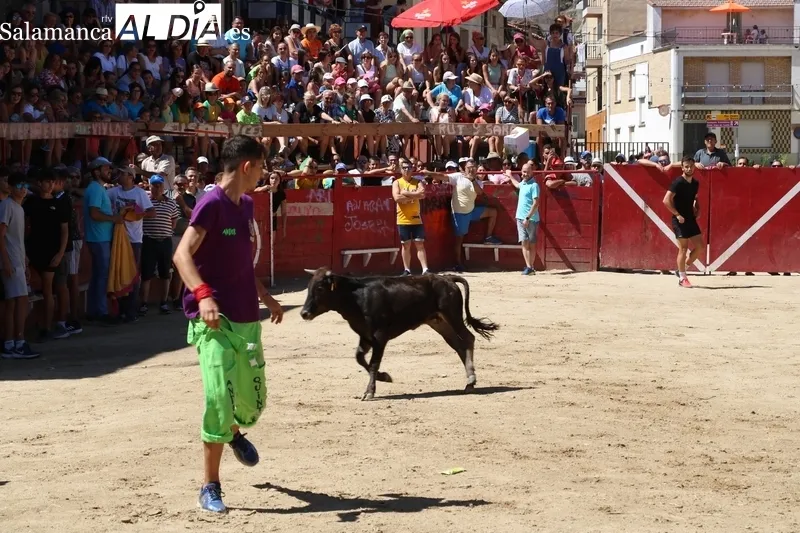 Encierro de vaquillas en Vilvestre / CORRAL