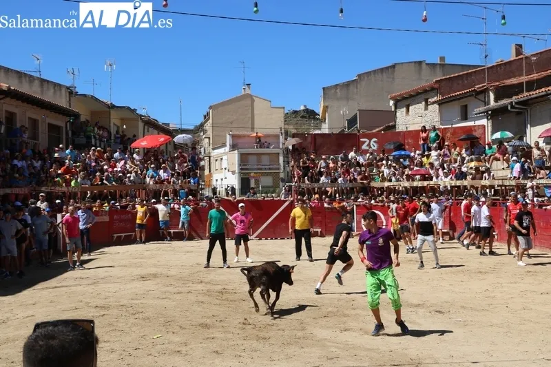 Encierro de vaquillas en Vilvestre / CORRAL