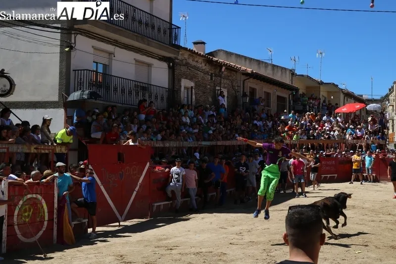 Encierro de vaquillas en Vilvestre / CORRAL