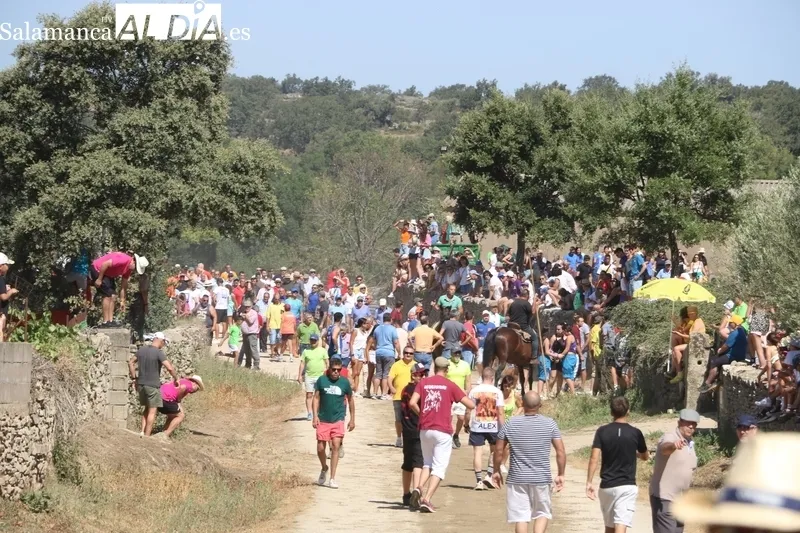 Tres de los novillos hicieron en solitario el recorrido precedidos por los corredores 