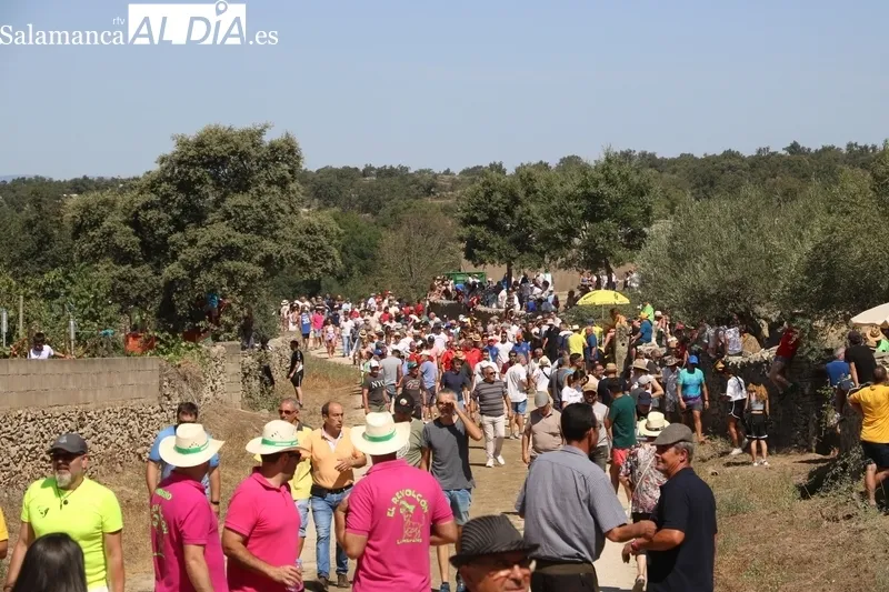 Tres de los novillos hicieron en solitario el recorrido precedidos por los corredores 