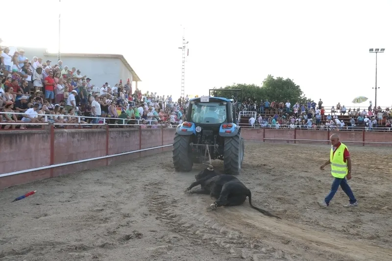 Bonito festejo de rejones en Masueco para poner punto final a las fiestas / CORRAL