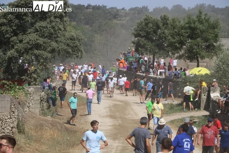Los novillos de El Collado y las vaquillas pusieron el punto final a los encierros del 2023