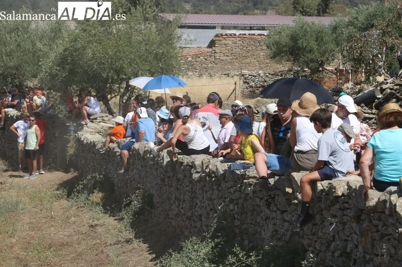 Los novillos de El Collado y las vaquillas pusieron el punto final a los encierros del 2023