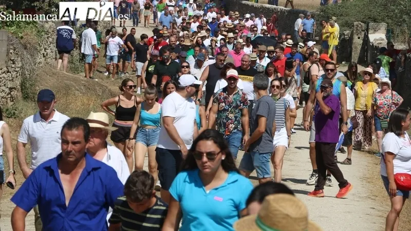 Los novillos de El Collado y las vaquillas pusieron el punto final a los encierros del 2023