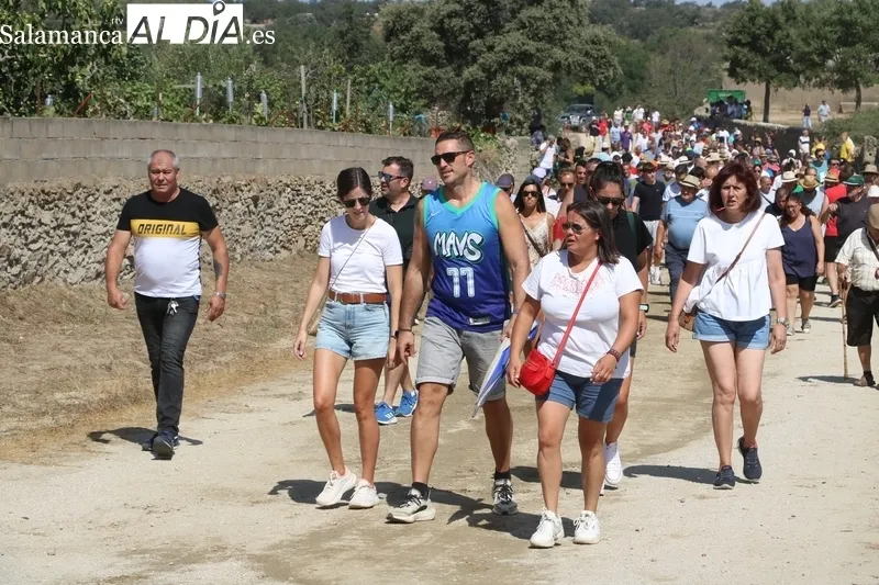 Los novillos de El Collado y las vaquillas pusieron el punto final a los encierros del 2023