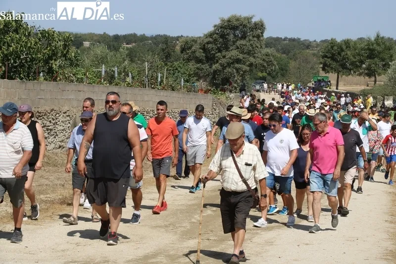 Los novillos de El Collado y las vaquillas pusieron el punto final a los encierros del 2023