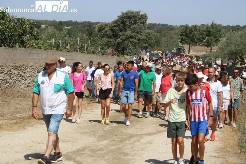 Los novillos de El Collado y las vaquillas pusieron el punto final a los encierros del 2023