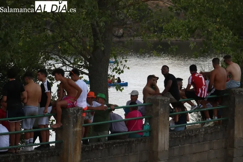 Desenjaule de los novillos que se lidiarán en los festejos de Aldeadávila de la Ribera / FOTOS: CORRAL Y SAIRA ANDRÉS