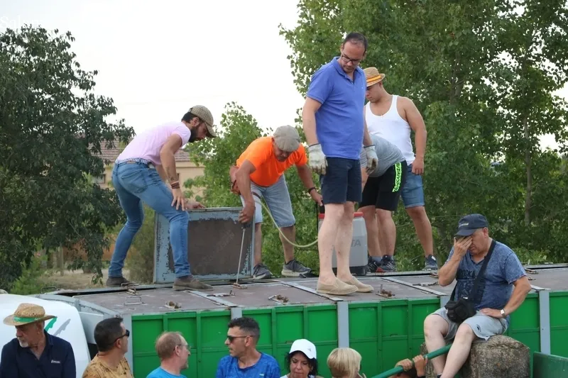 Desenjaule de los novillos que se lidiarán en los festejos de Aldeadávila de la Ribera / FOTOS: CORRAL Y SAIRA ANDRÉS